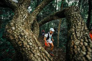 BIB: 
                            <button type="button" onclick="openModal(25393690)" class="btn btn-primary btn-sm float-right btn-popup" data-toggle="modal" data-target=".modal-high-quality">
                        <i class="fas fa-shopping-cart"></i> Add to Cart
                    </button>
                                            <button type="button" onclick="isThisMe(25393690, true)" class="btn btn-success btn-sm float-right btn-popup btn-isme hidden" data-toggle="tooltip" data-placement="bottom" title="นี่คือรูปของคุณใช่ไหม คลิกที่นี่เพื่อเอาเข้าอัลบั้ม">
                        <i class="fas fa-plus"></i> Add to album
                    </button>
                    <button type="button" onclick="isThisMe(25393690, false)" class="btn btn-warning btn-sm float-right btn-popup btn-isnotme hidden">
                        <i class="fas fa-ban"></i> Remove from album
                    </button>